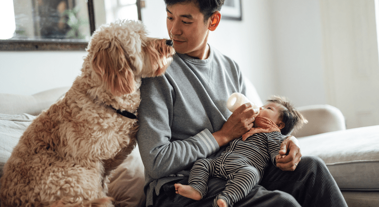 the personal joys of having a home to call your own