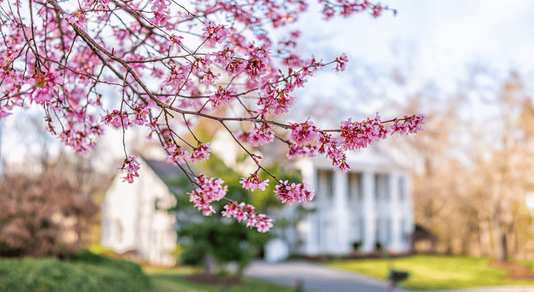 4 ways to make an offer that stands out this spring